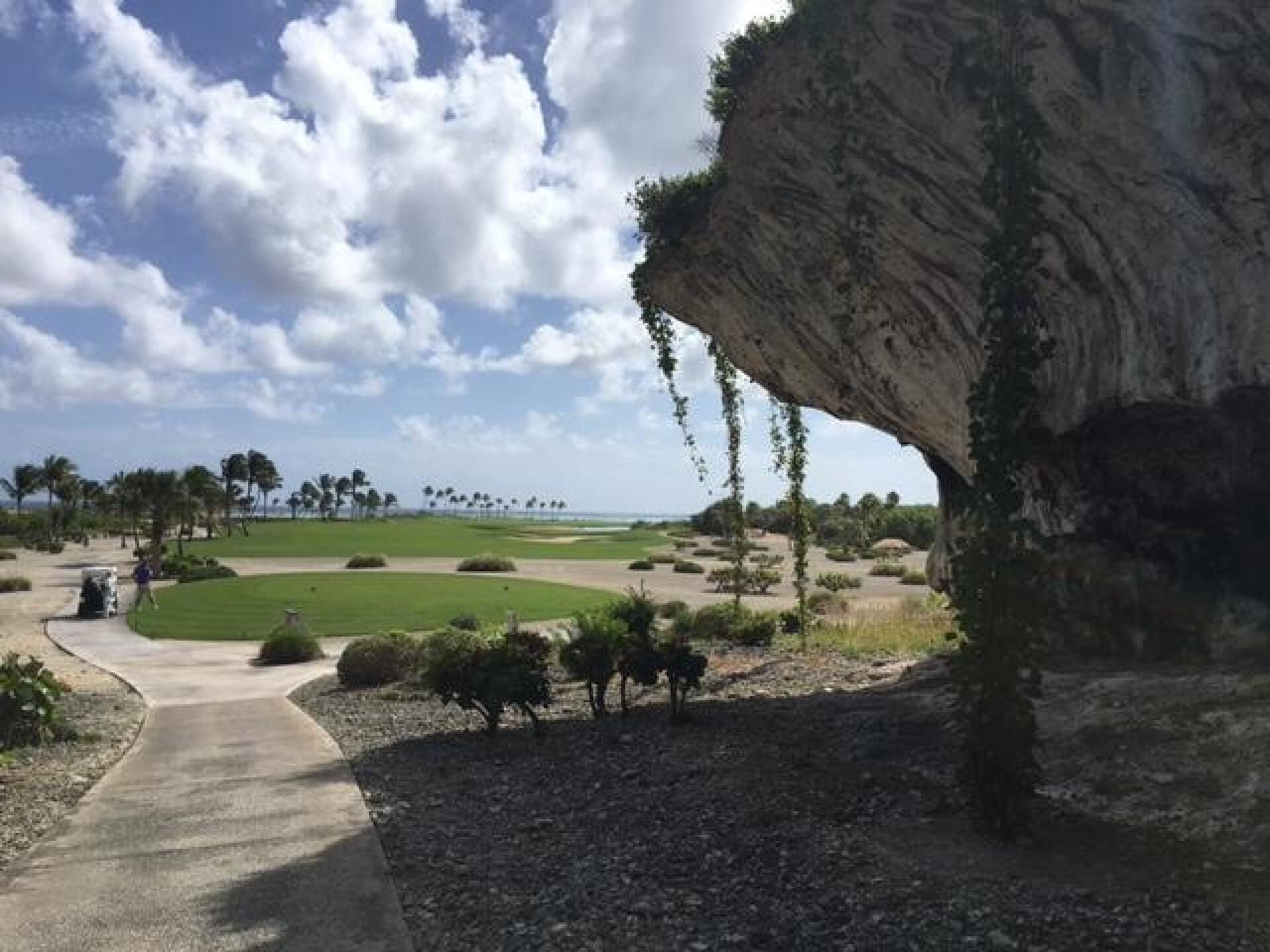 (Photo submitted by LICC on 03/02/2017)