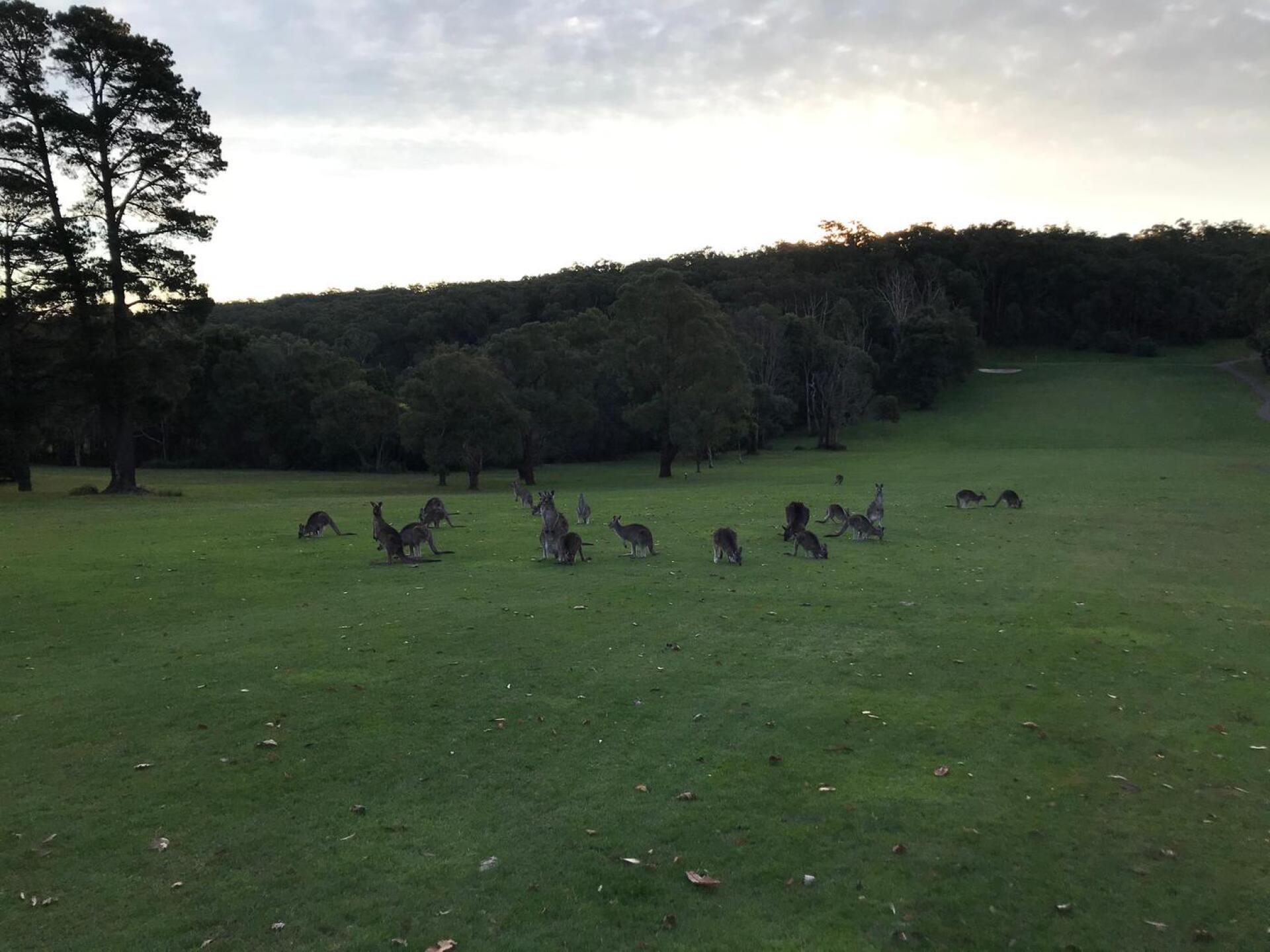 The tenth (Photo submitted by theglasseyegolfer on 07/17/2020)