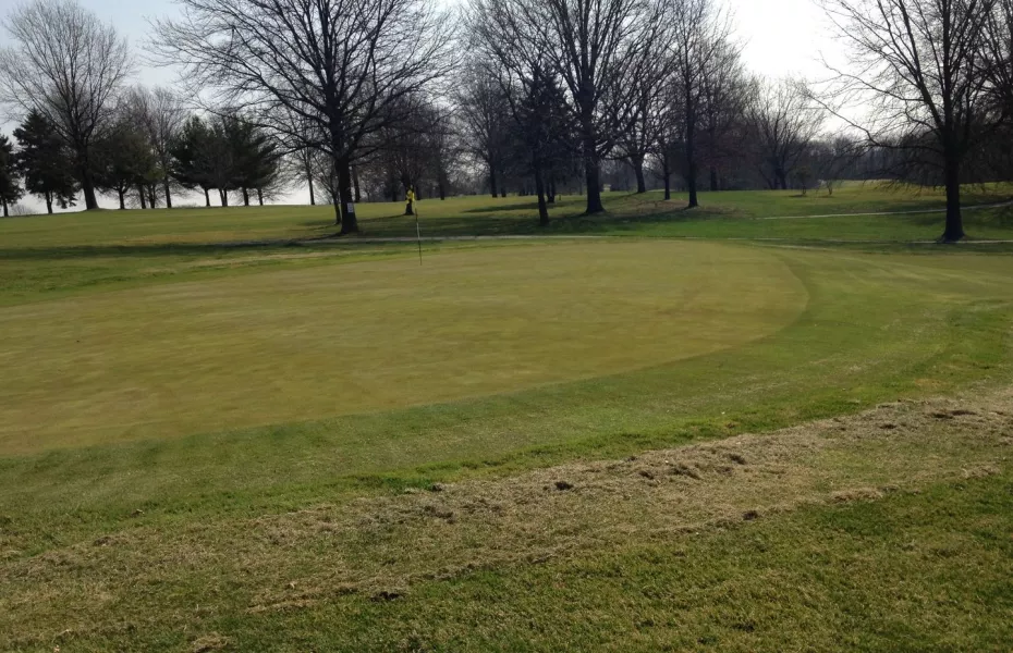 Godwin's Village Green: #9