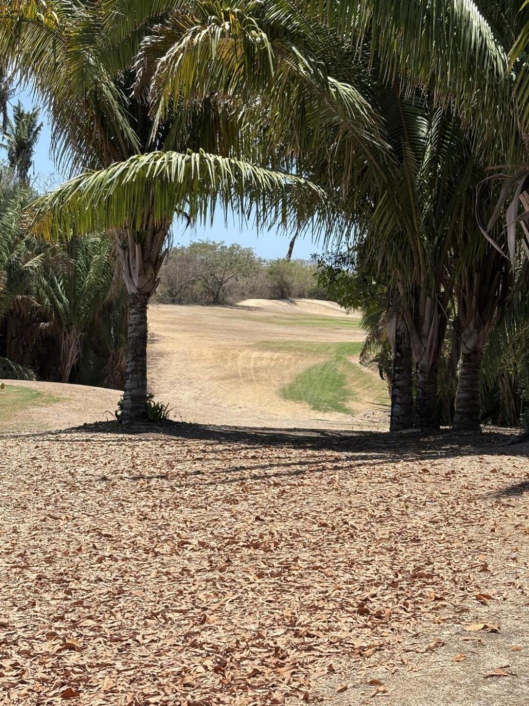 Sad fairways (Photo submitted by u217090877 on 04/27/2026)