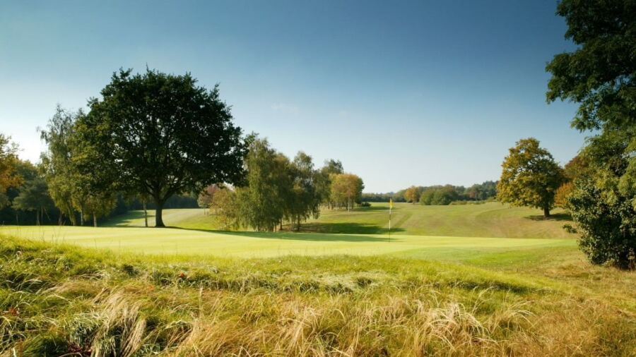 Welwyn Garden City GC: #2