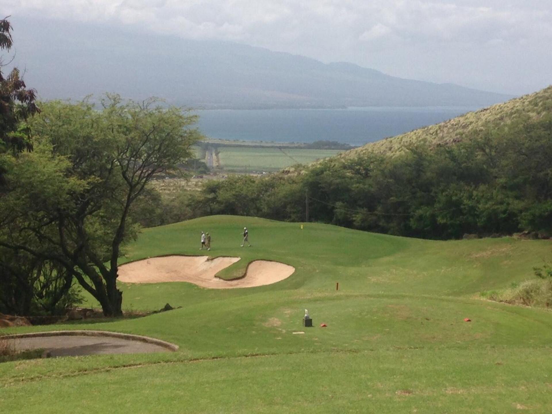 (Photo submitted by vrob008 on 05/20/2015)