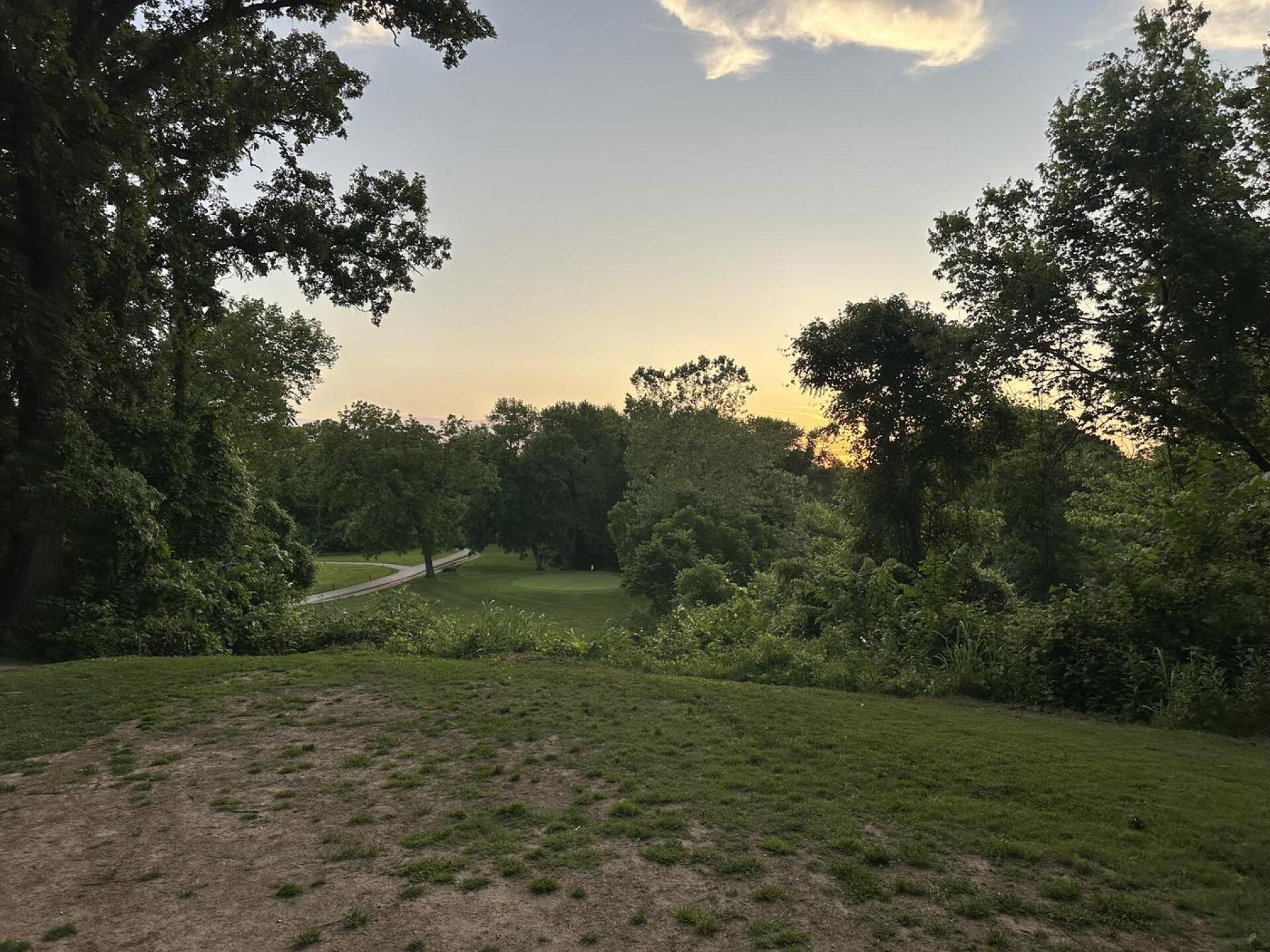 (Photo submitted by mcswart55 on 06/14/2025)