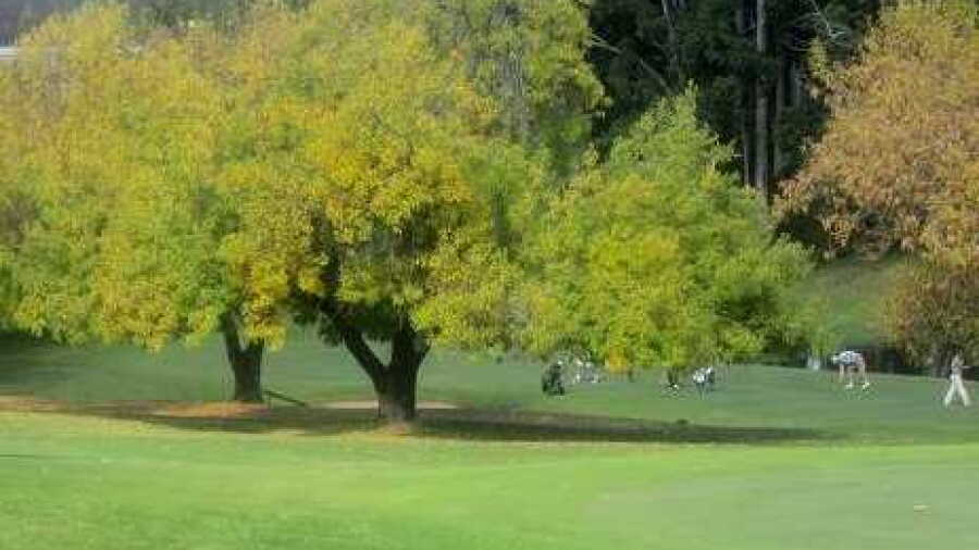 Wanderers GC