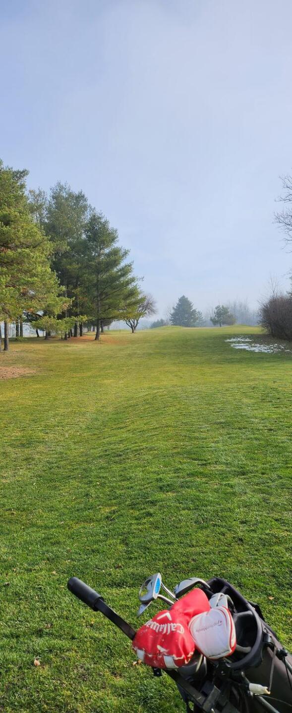 End of November (Photo submitted by u668746322 on 11/25/2022)