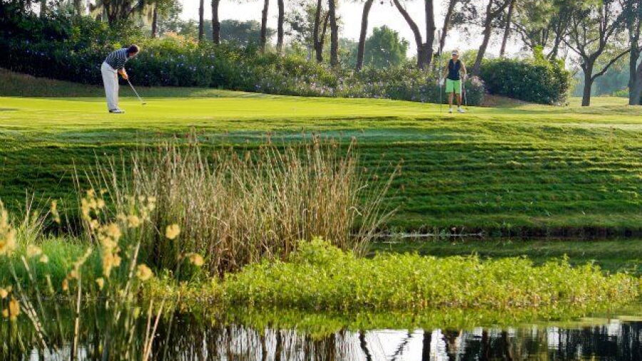Laurel Oak CC