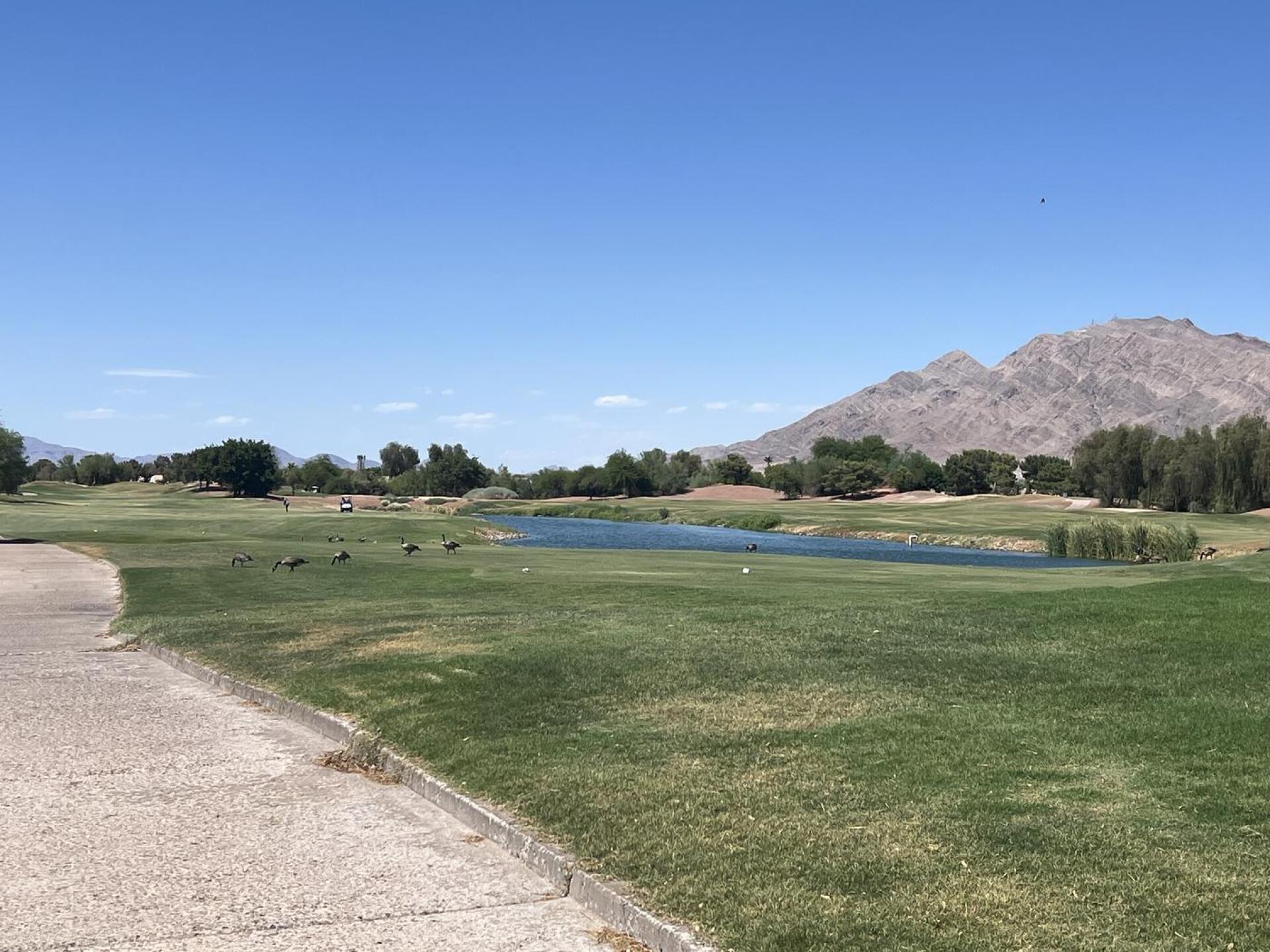 Pretty course (Photo submitted by 1981CaptainofMarines on 06/30/2026)