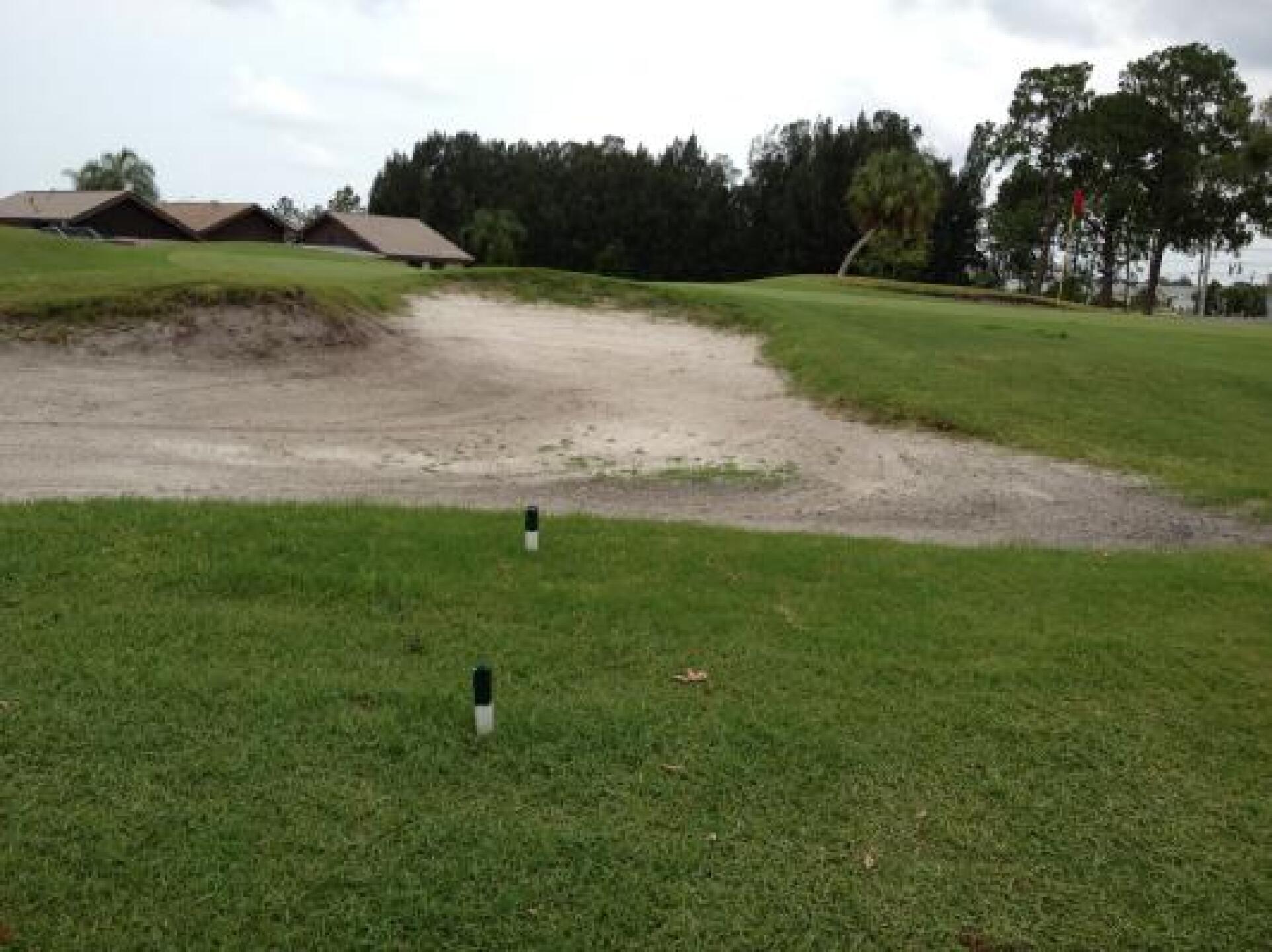 Weeds in the bunkers that haven't been raked since march. (Photo submitted by asanche9 on 06/16/2013)