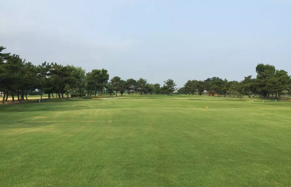 Flower Corridor GC: #13