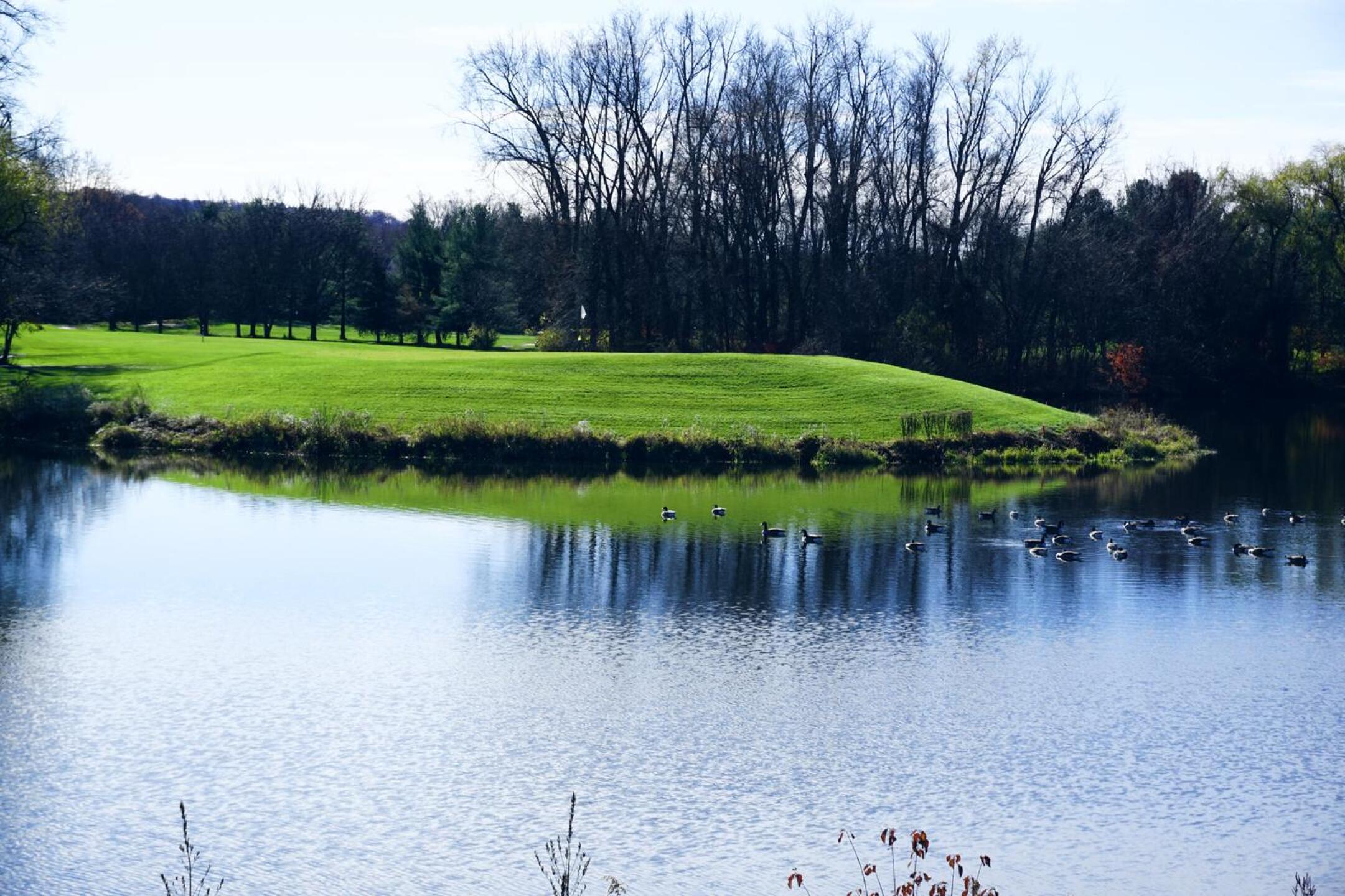 The tenth, again, from behind the green. (Photo submitted by AptlyLinked on 11/21/2021)