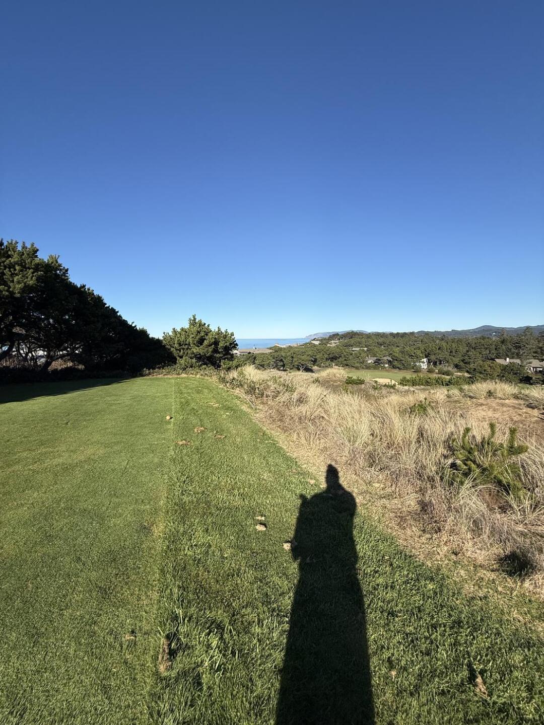 (Photo submitted by Bigvern13 on 01/25/2026)