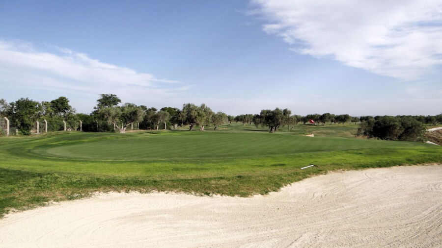 Flamingo GC: #17