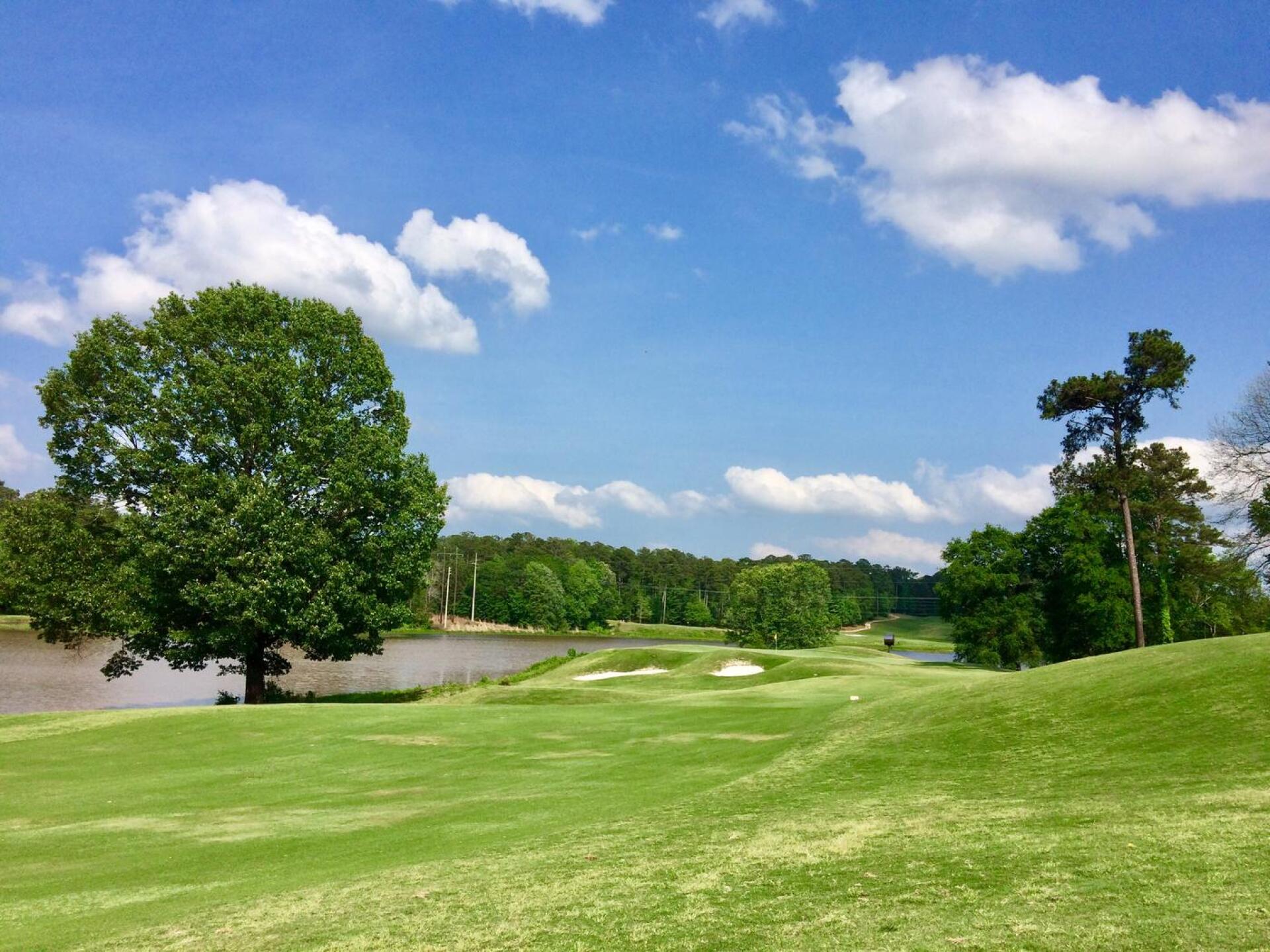 14th hole, Links course (Photo submitted by BrandonWebb on 04/29/2017)
