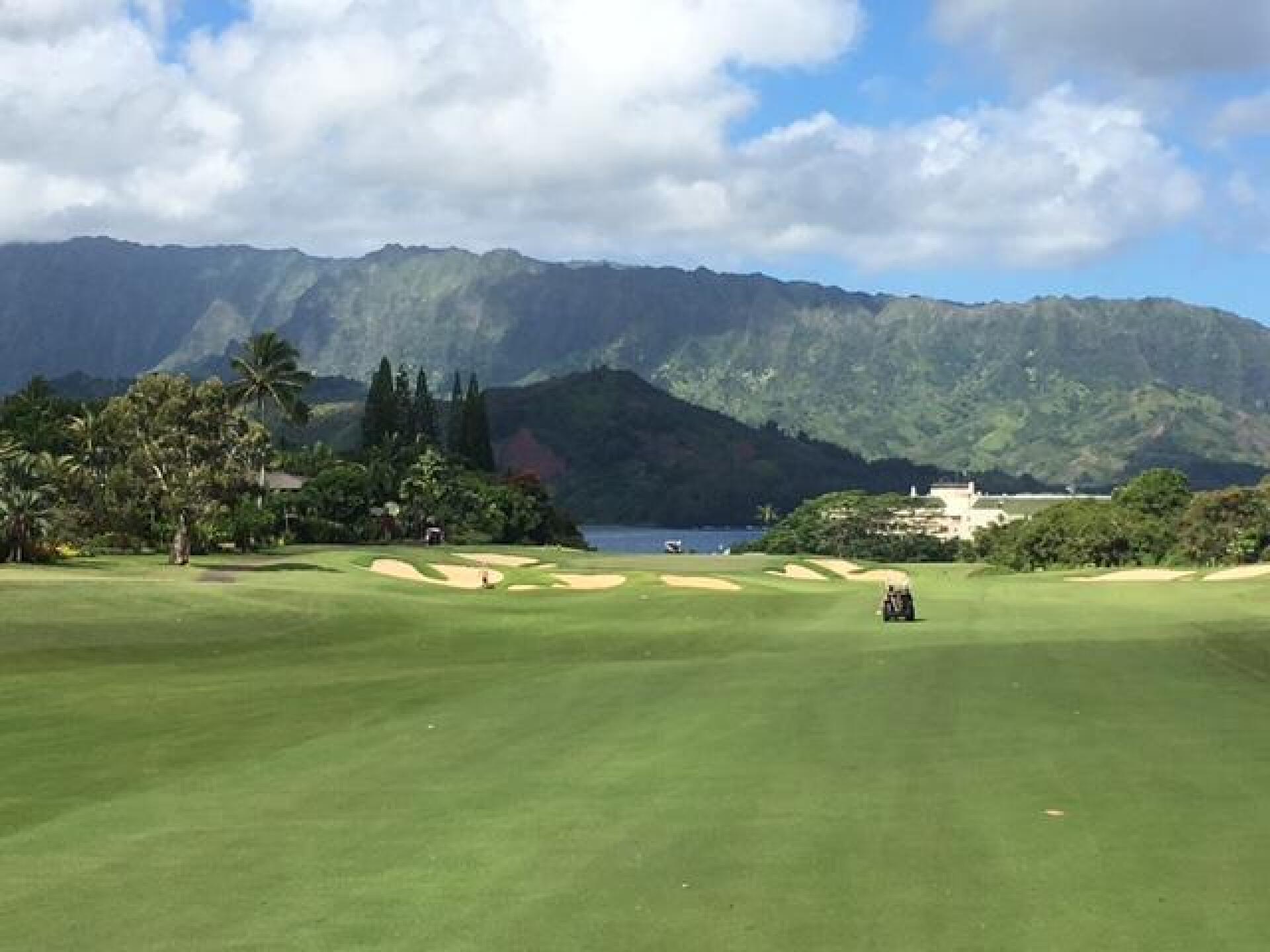 (Photo submitted by LICC on 09/08/2017)