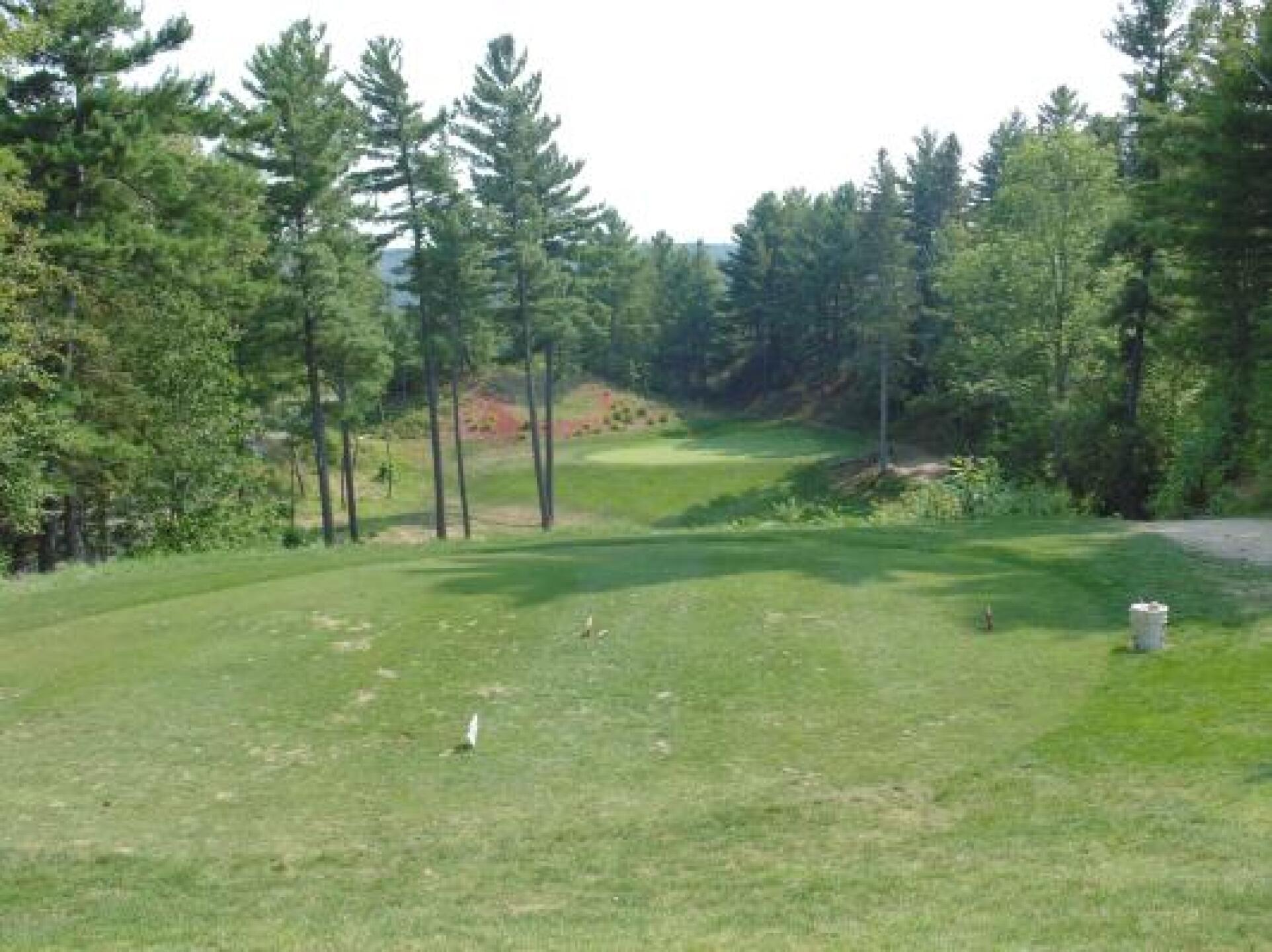 Hard to see how far down it is. 163, I hit my 150 club with slight headwind, and still went back fringe. (Photo submitted by oiler3535 on 08/21/2013)