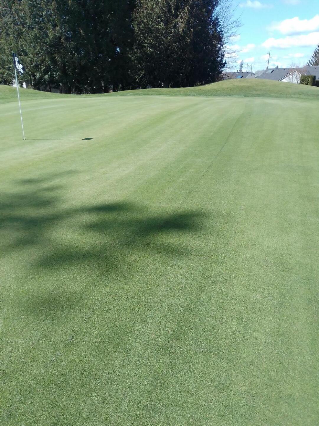 Green sample (Photo submitted by shawnbaily on 04/26/2023)