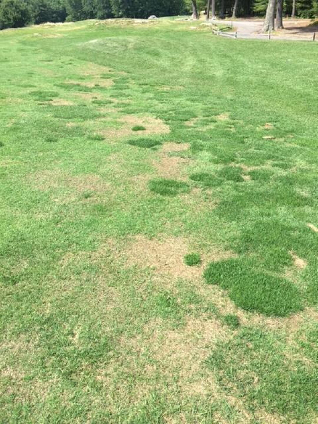 18th fairway (Photo submitted by ericboston58 on 06/30/2018)