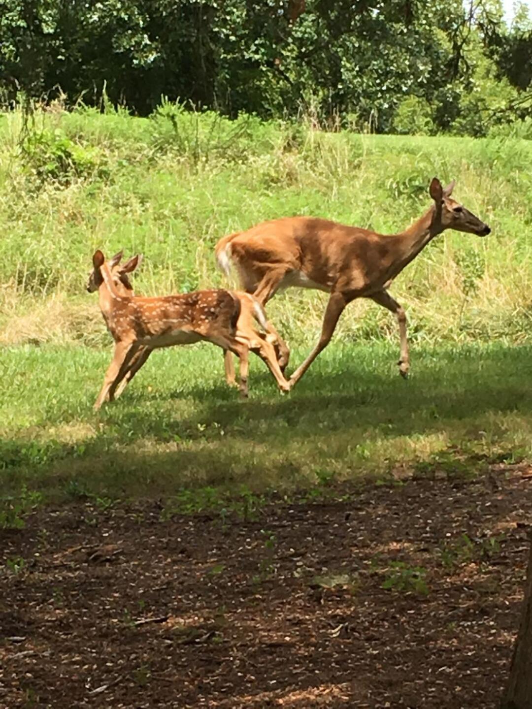 (Photo submitted by uGMER3057GM on 08/06/2018)