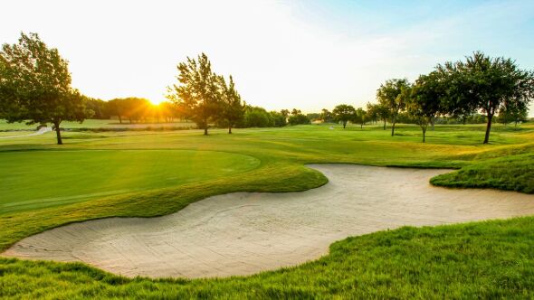 Mesquite GC