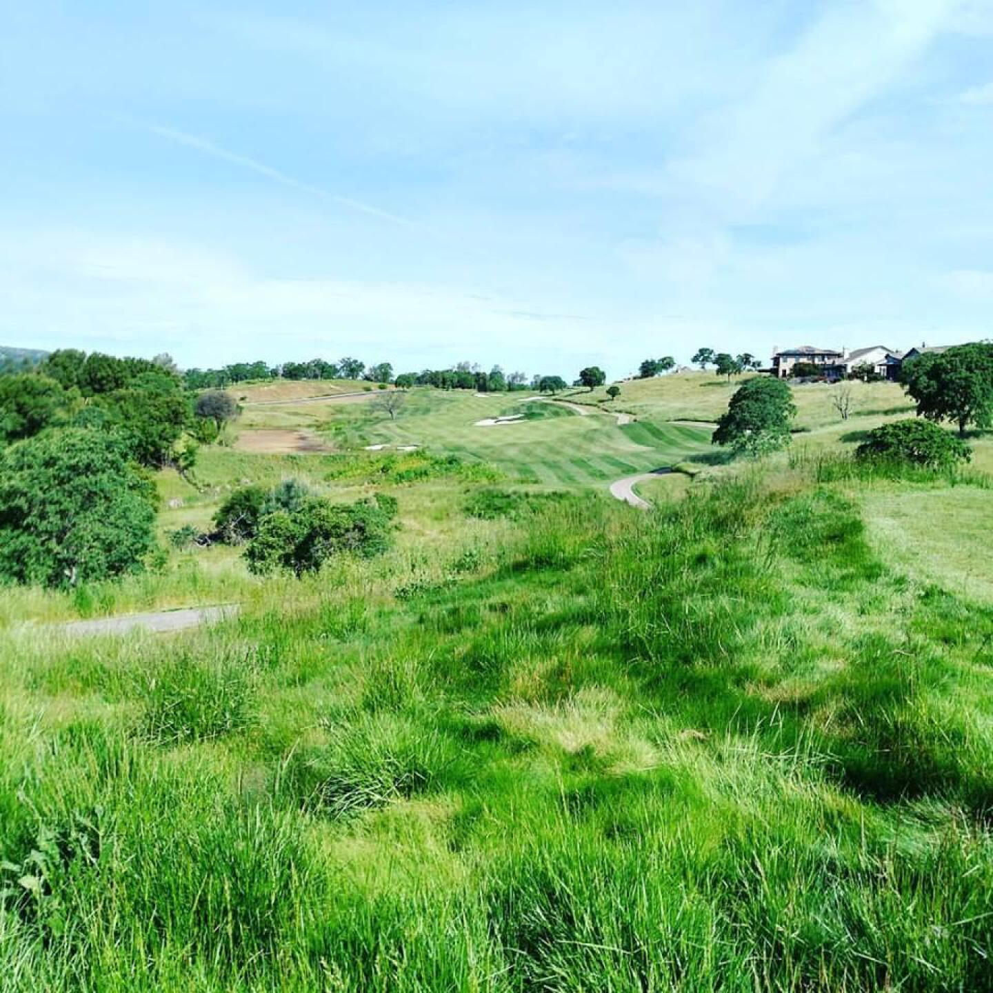 Par 5 13th (Photo submitted by sorenj on 04/23/2017)