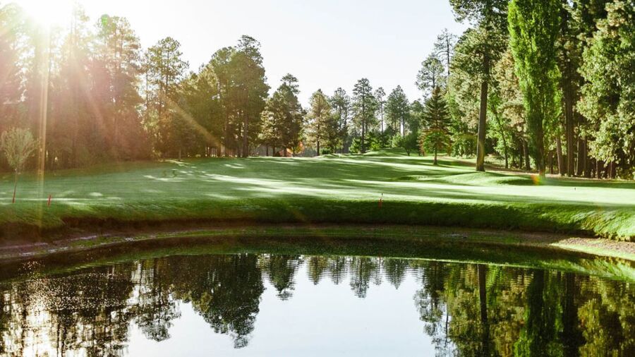 Pinetop CC