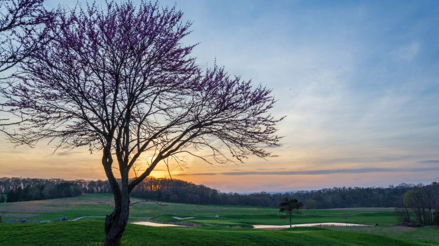 Greencastle GC: #3
