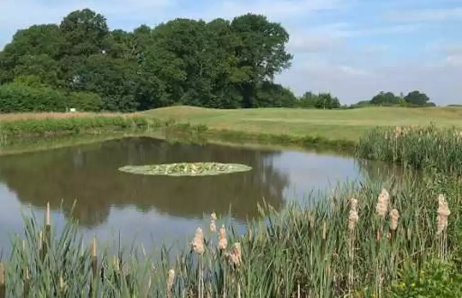 6th hole at Forest of Galtres