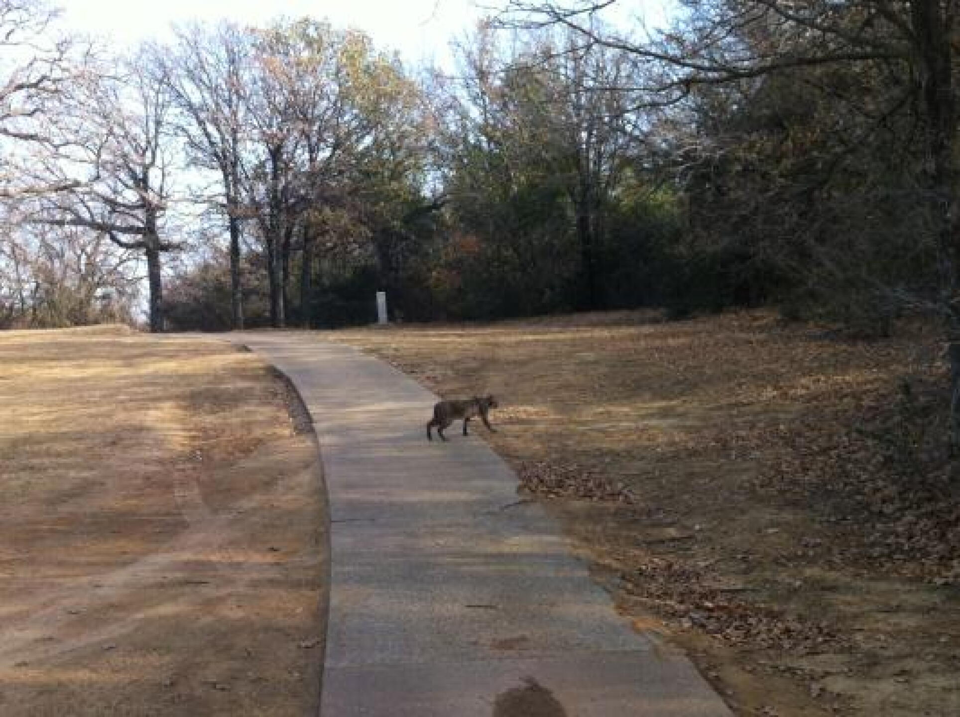 (Photo submitted by lenmw80 on 12/09/2012)