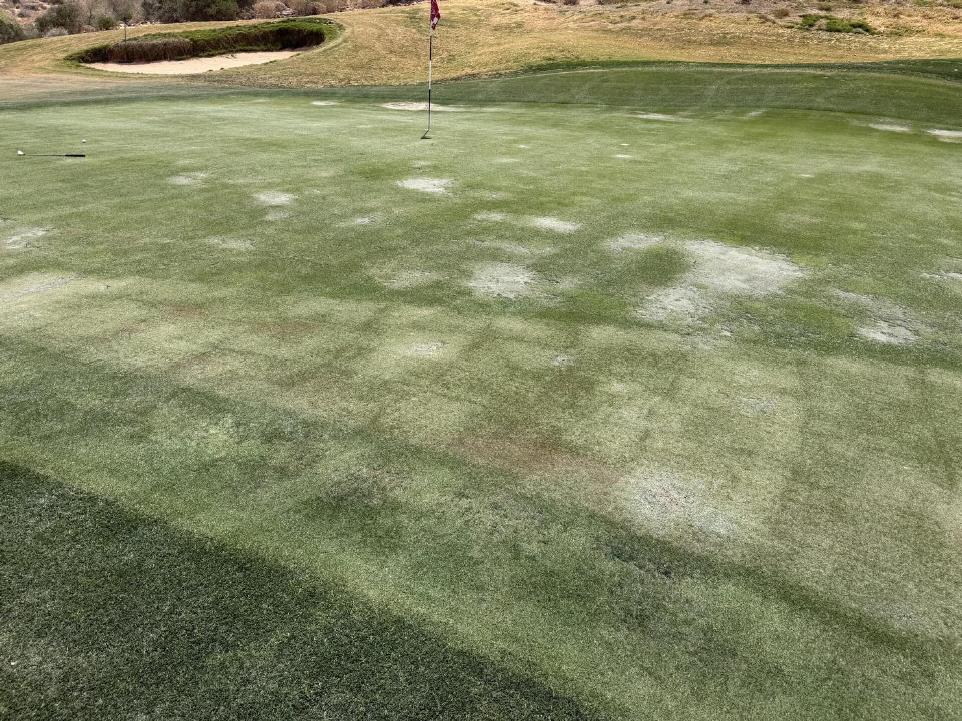 18 green (Photo submitted by Tim4013103 on 04/19/2026)