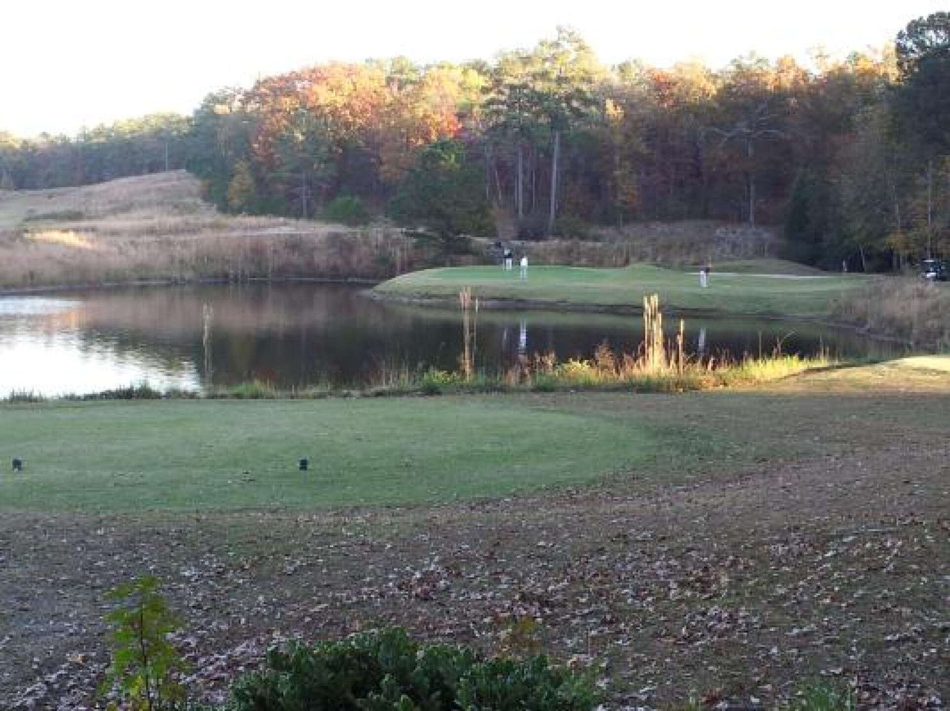 Number 17 green at the end of a November day. (Photo submitted by Chiefie on 11/19/2012)