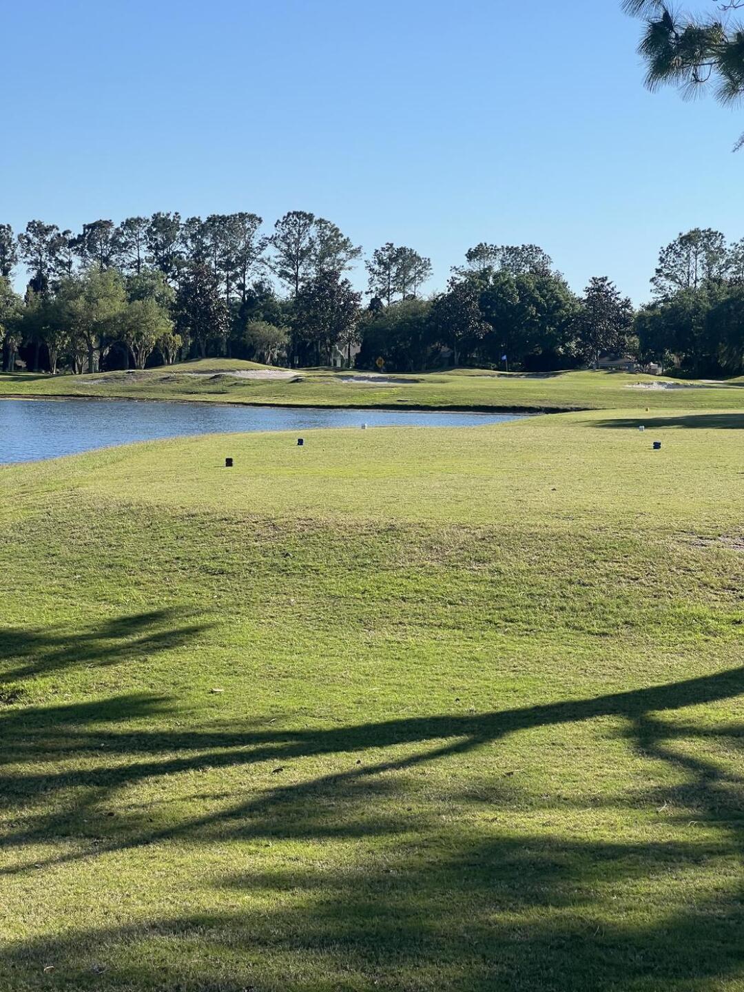 (Photo submitted by w0Y3YGPqx4rofA6i1jWx on 04/07/2024)