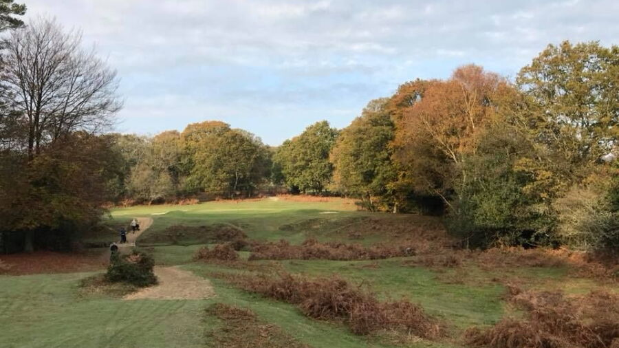 Bramshaw GC - Forest: #12