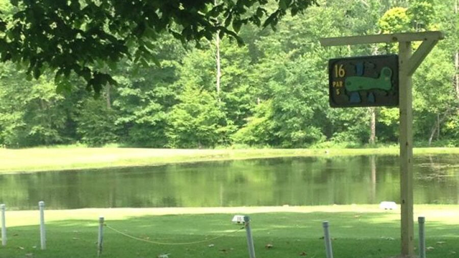 Hadley Acres: #16