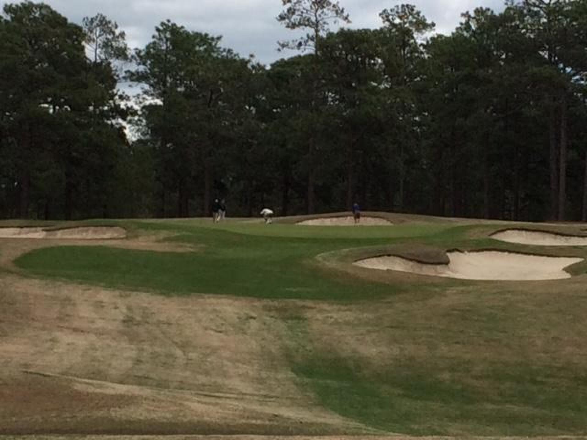 (Photo submitted by Mashie1490 on 04/12/2017)