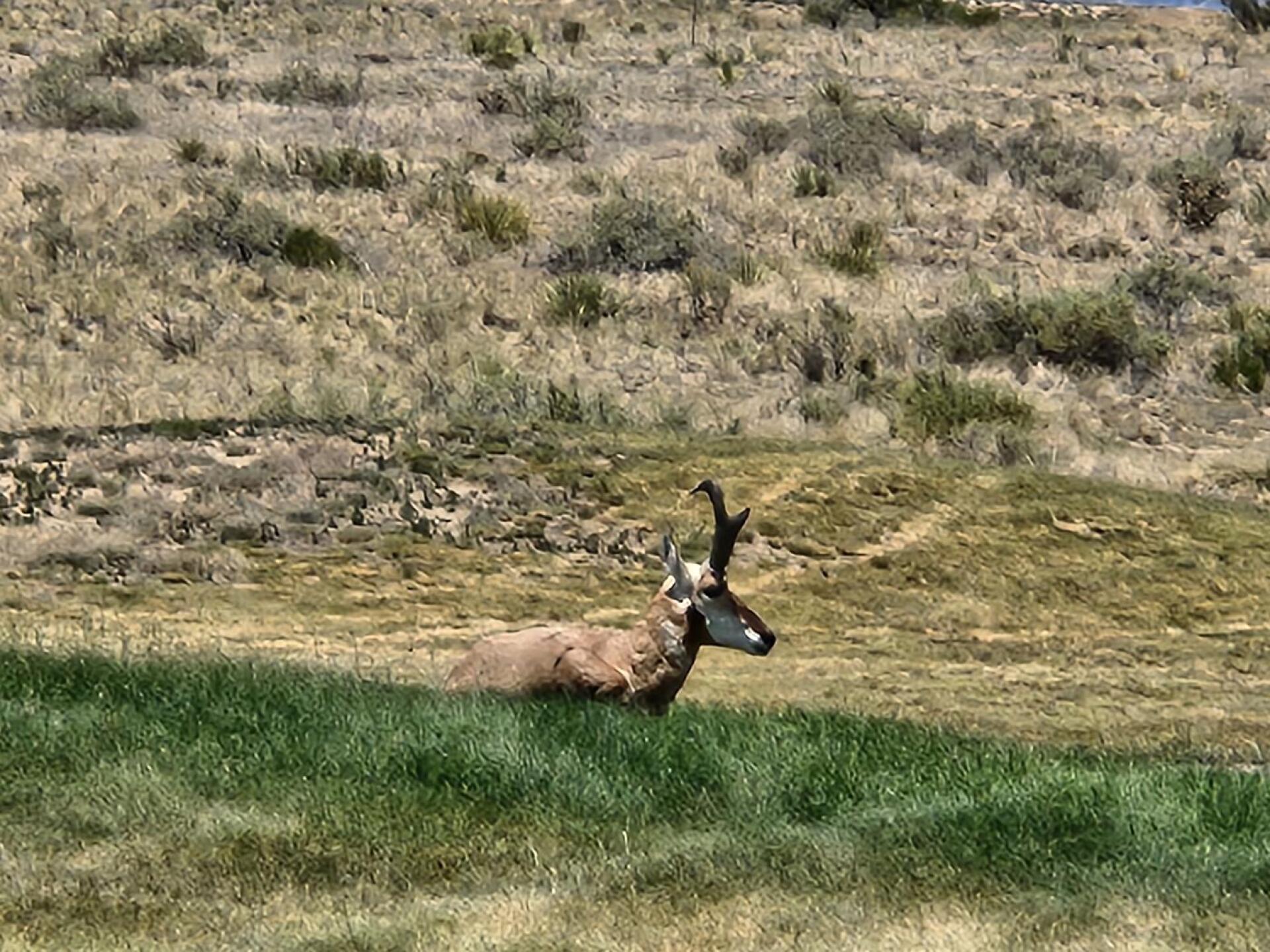 (Photo submitted by mQHSuT30bwqkPbn87ts6 on 06/30/2026)