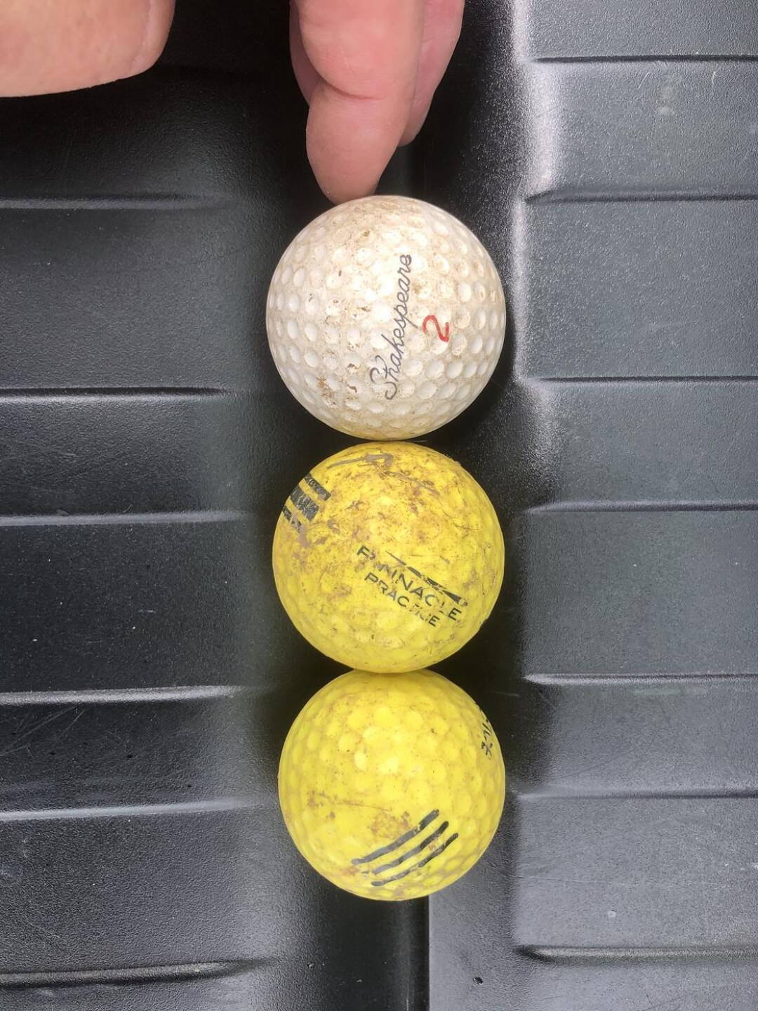 Here’s what you get for $12 (Photo submitted by u314161619483 on 05/25/2021)