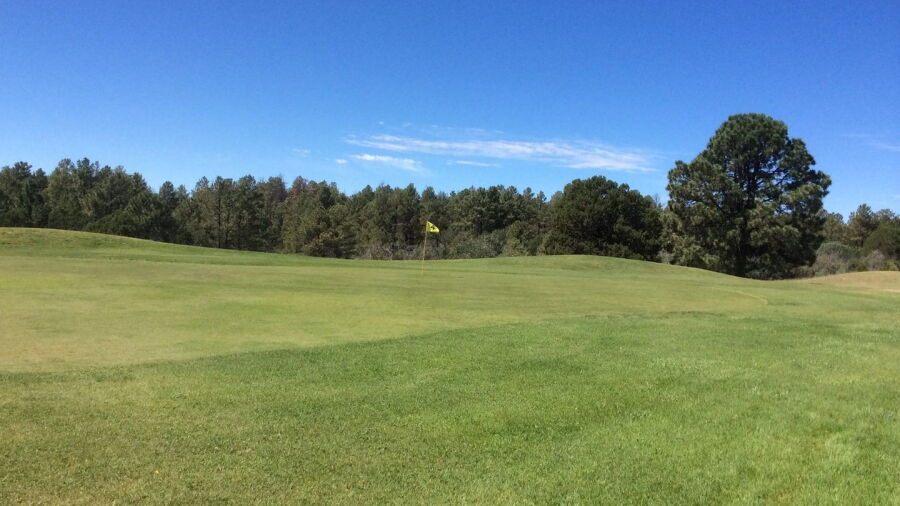Timberon GCC: #4
