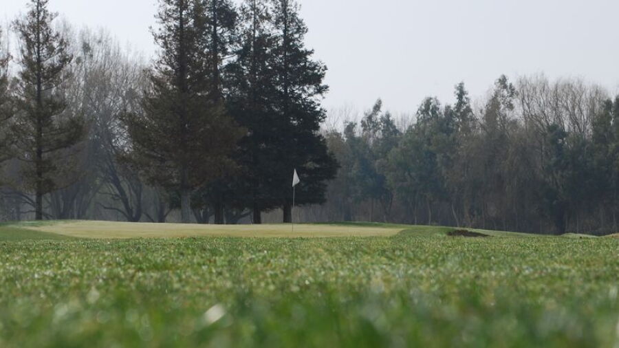 Jack Tone Golf