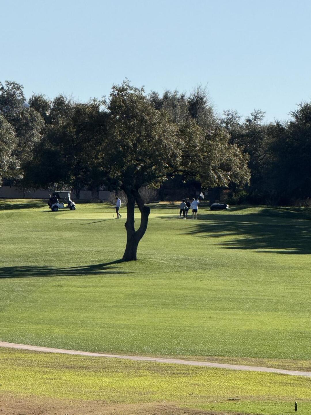 Number 17 Tree (Photo submitted by u314159379595 on 01/30/2026)