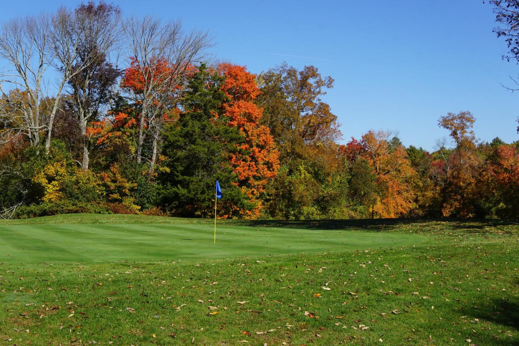 The fifth concludes on this green. (Photo submitted by AptlyLinked on 10/20/2022)