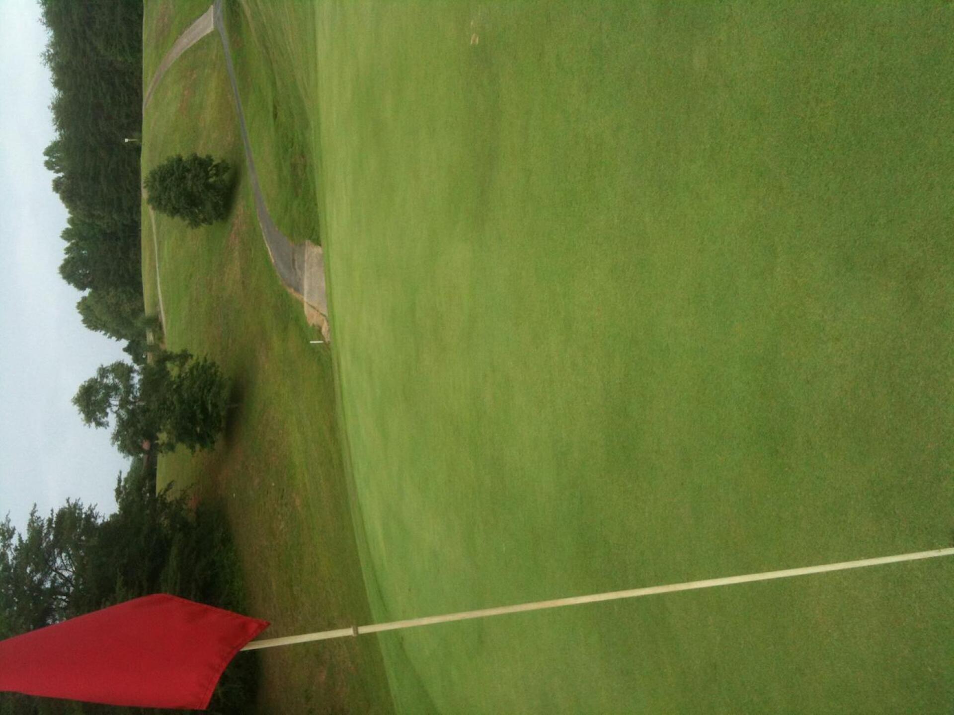 (Photo submitted by Hiltond on 07/03/2015)