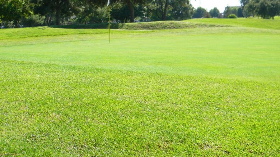 Rancho Duarte GC: #3