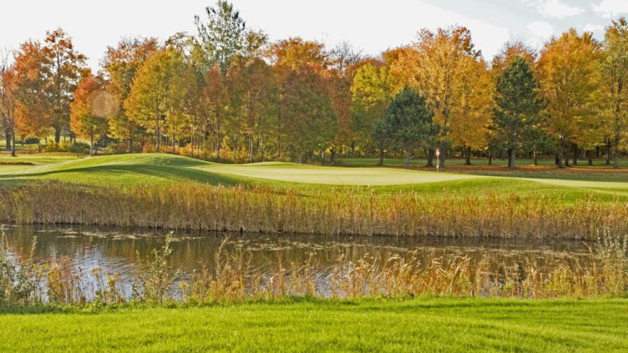 Old Channel Trail GC - Valley: #9