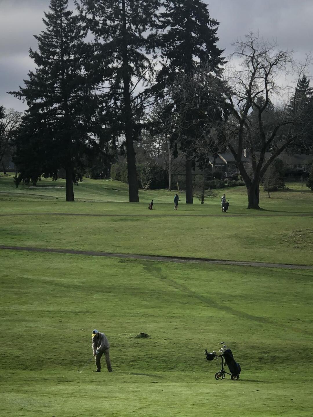 (Photo submitted by lore76 on 01/16/2021)