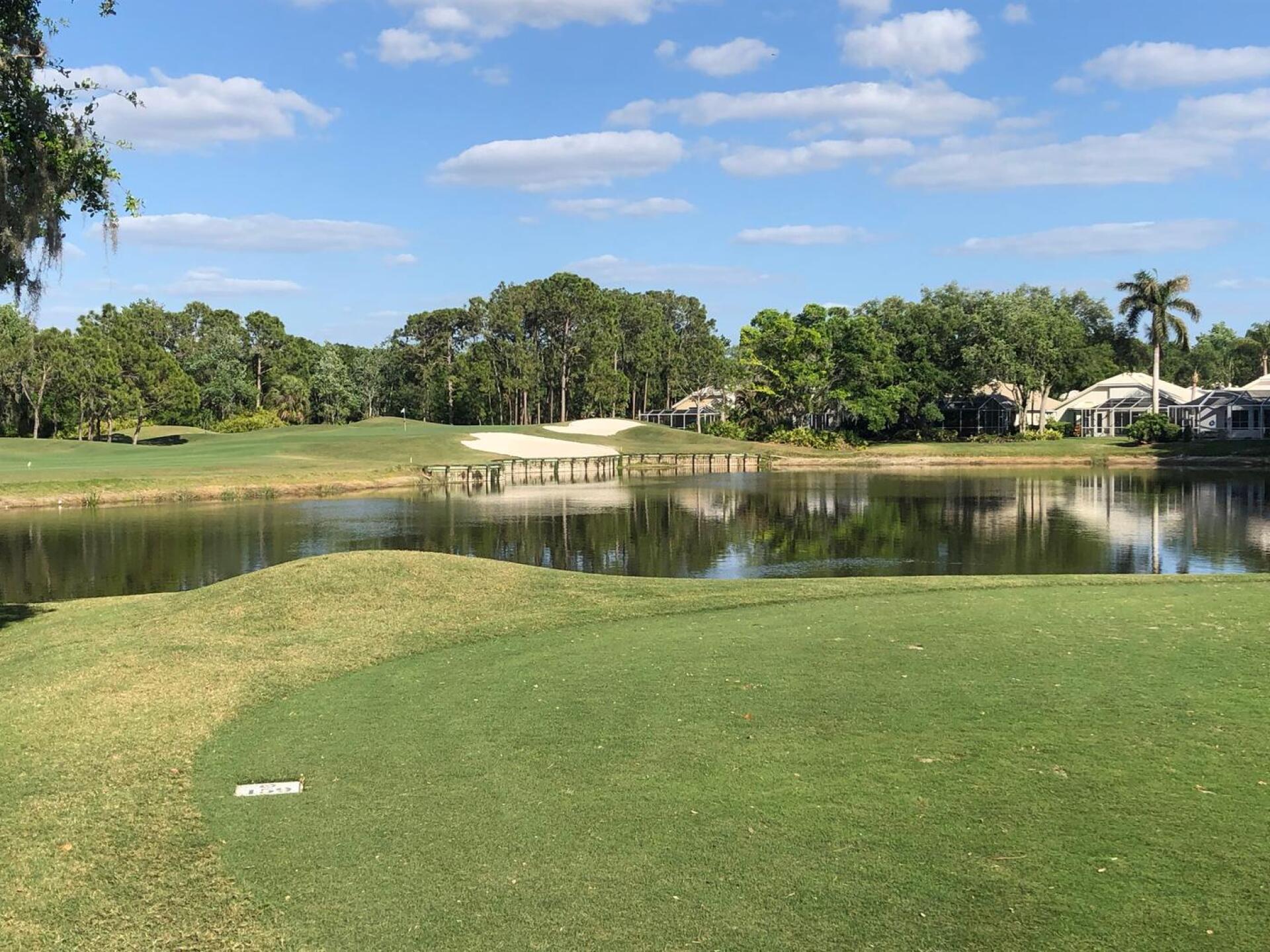 (Photo submitted by BryanTweed16 on 04/01/2018)