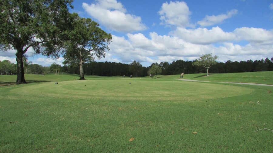 Cimarrone GC