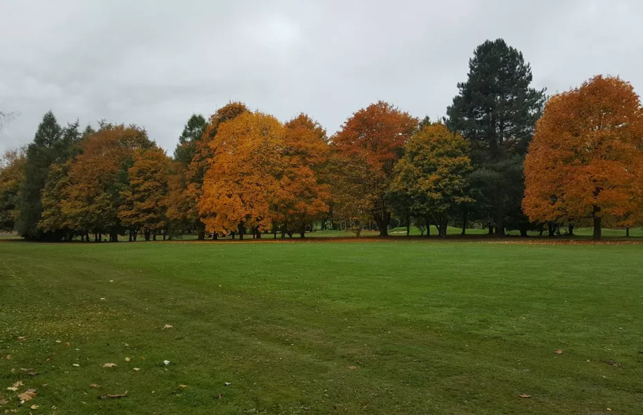 Bury St Edmunds GC