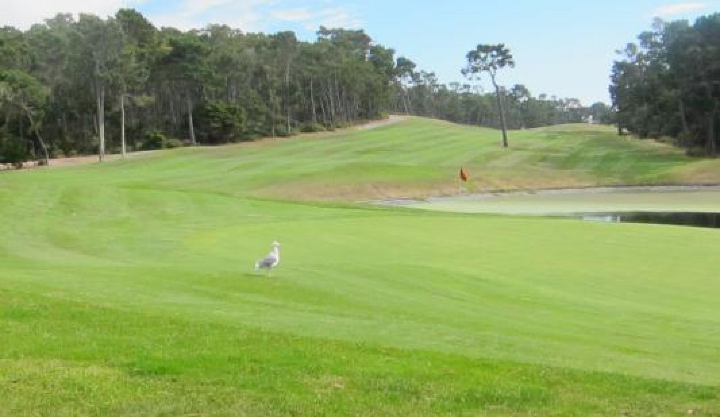 10th hole, good down hill par 5, birdie opportunity (Photo submitted by bhoggjr on 10/04/2012)