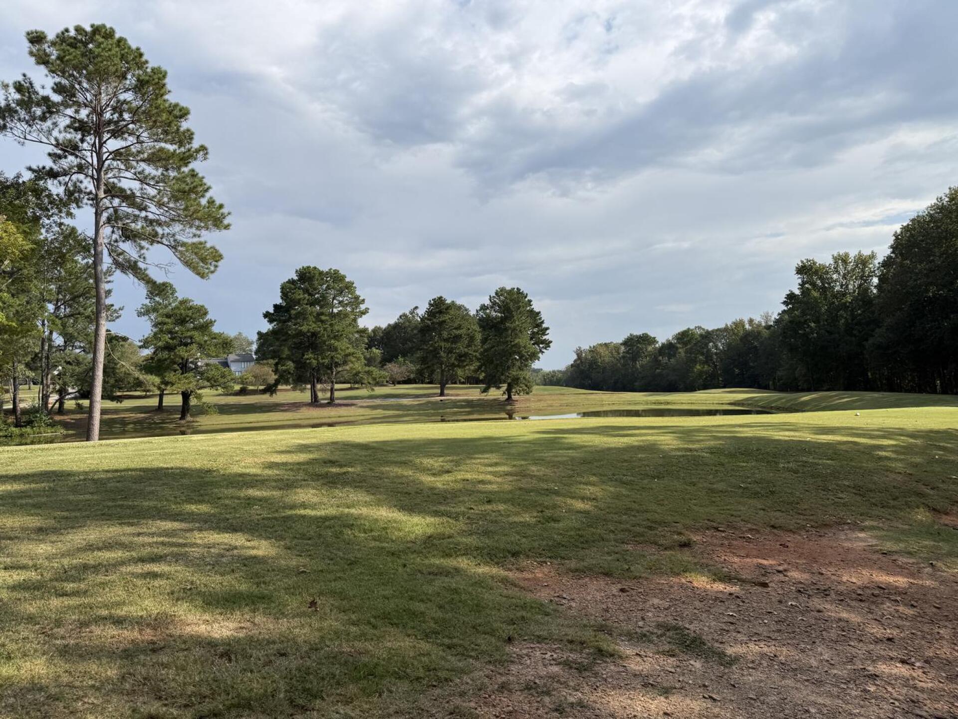 (Photo submitted by lfcediel on 09/16/2025)