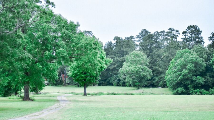 Idylwild GC